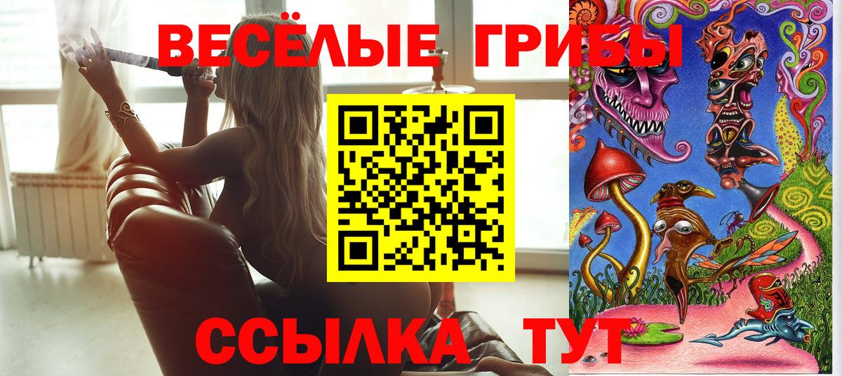 Галлюциногенные грибы Psilocybe Анжеро-Судженск