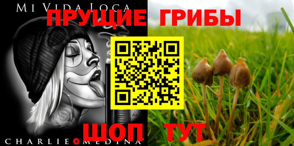 Анжеро-Судженск  Псилоцибиновые грибы ЛСД  Вход с VPN  Галлюциногенные грибы Psilocybine cubensis 